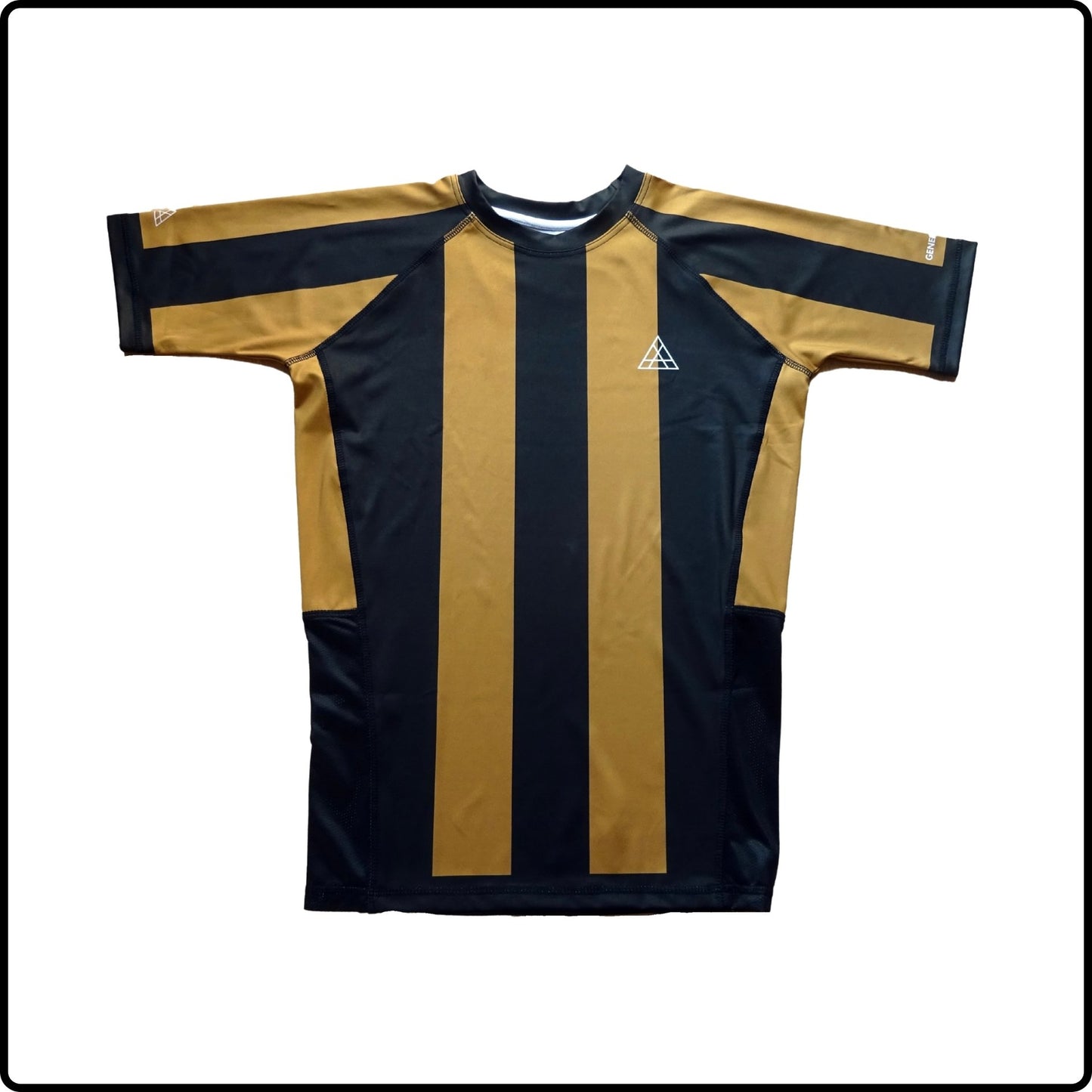 BROWN RASHGUARD - RANKED